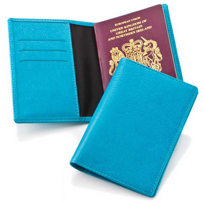 Vivid Passport Wallet