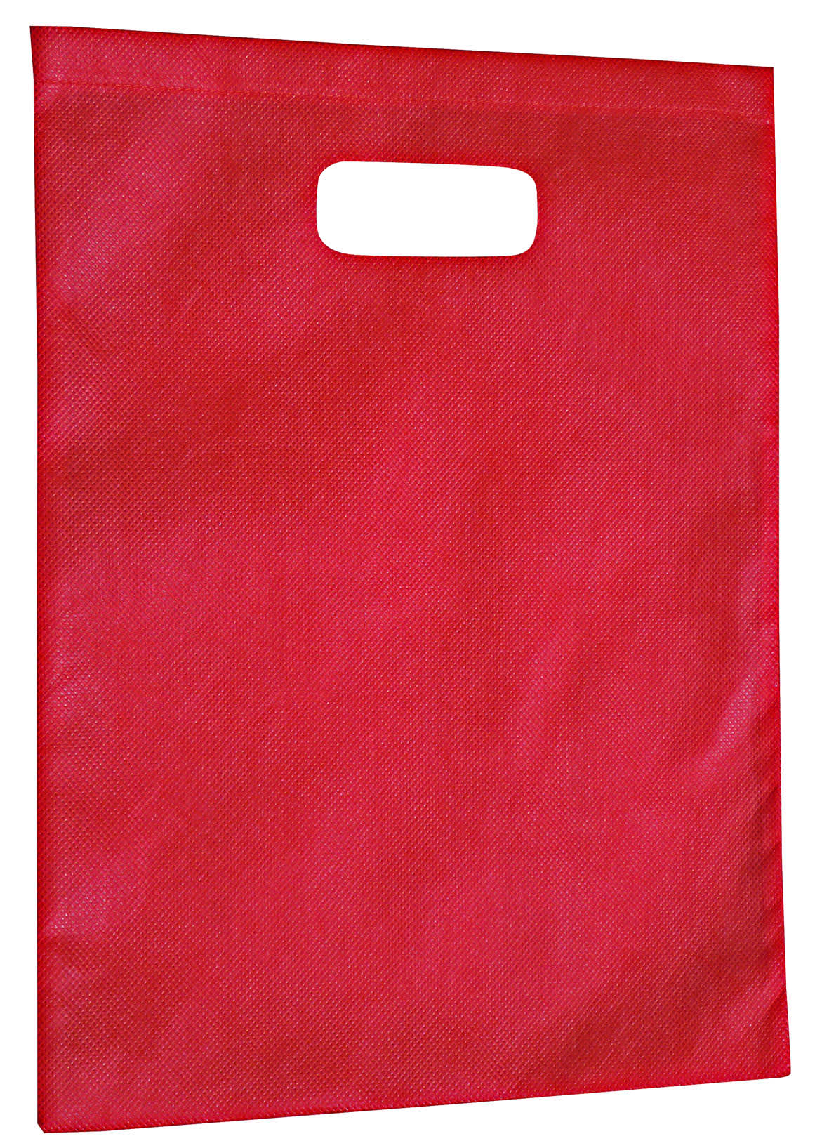 Non-Woven Large Gift Bag