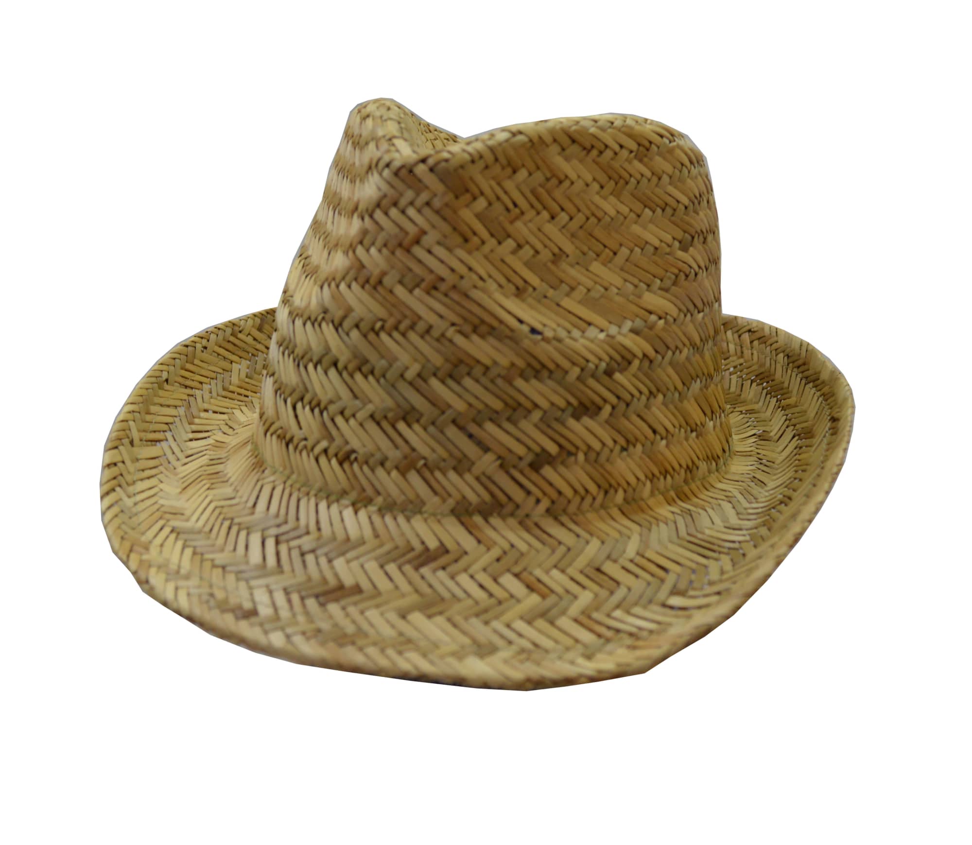 Fedora Straw Hat