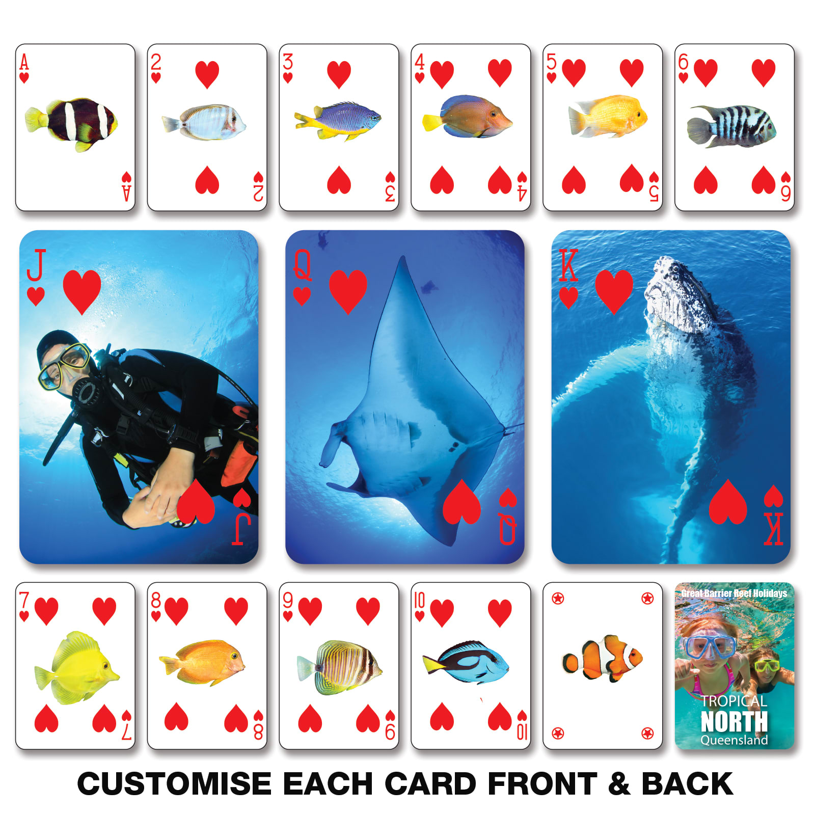 Playing cards featuring marine life images in vibrant colours, with a diver and an illustration of a stingray.