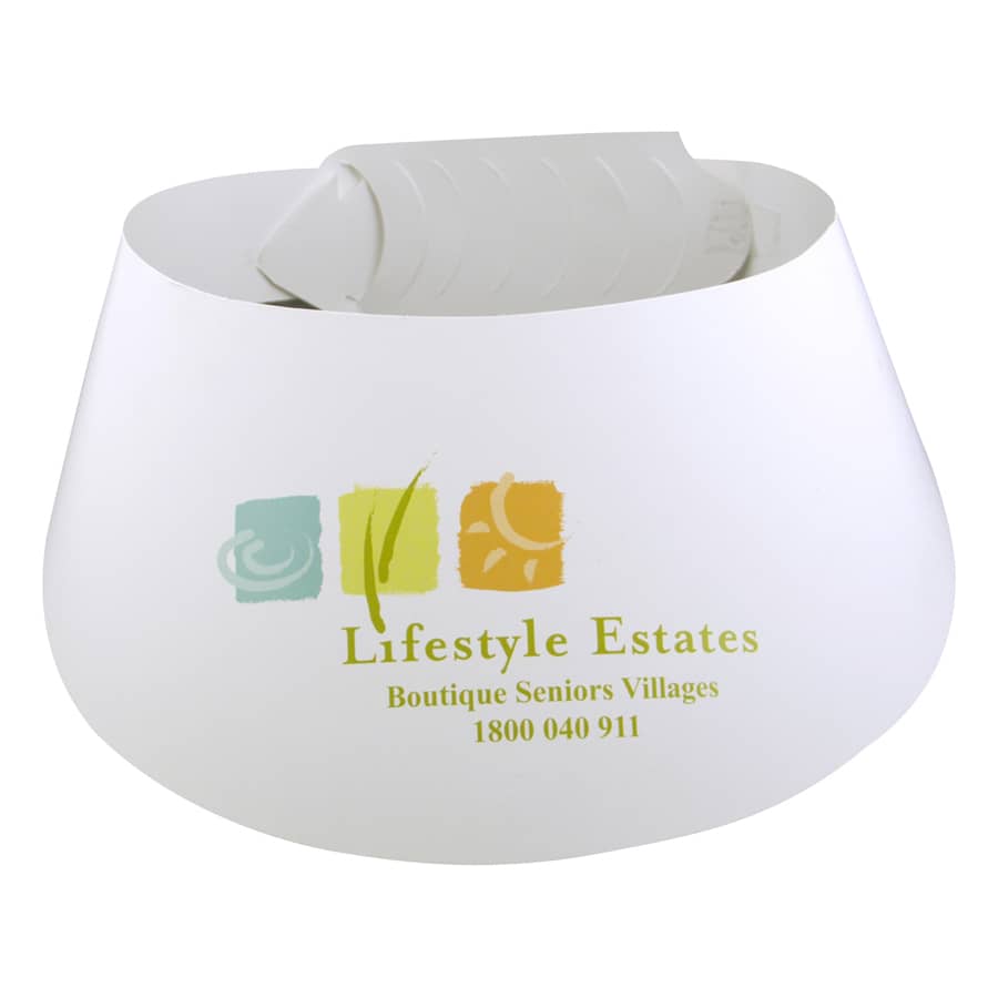 Sun Visors - image 6