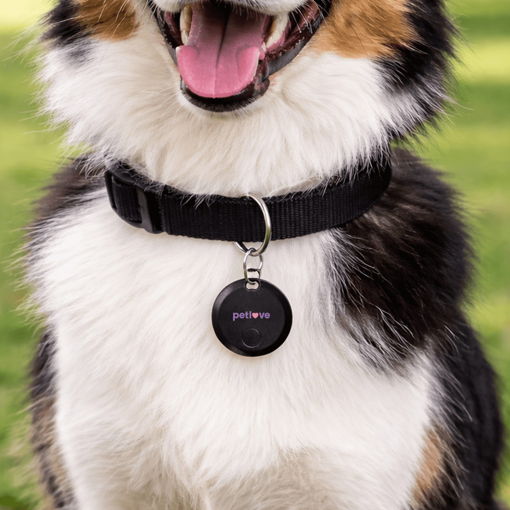 SeekTag Factory Direct - Black promotional product