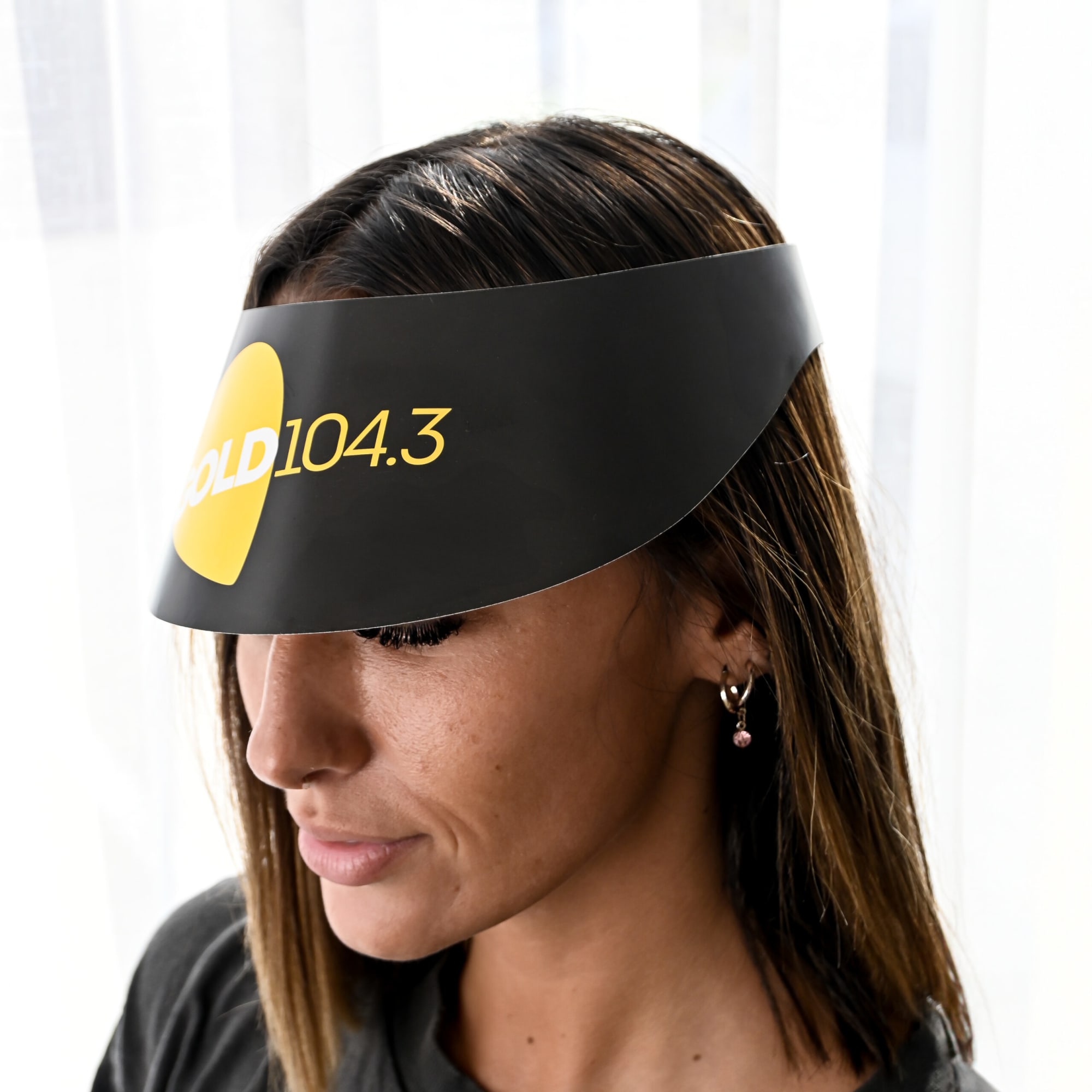 Sun Visors - image 3