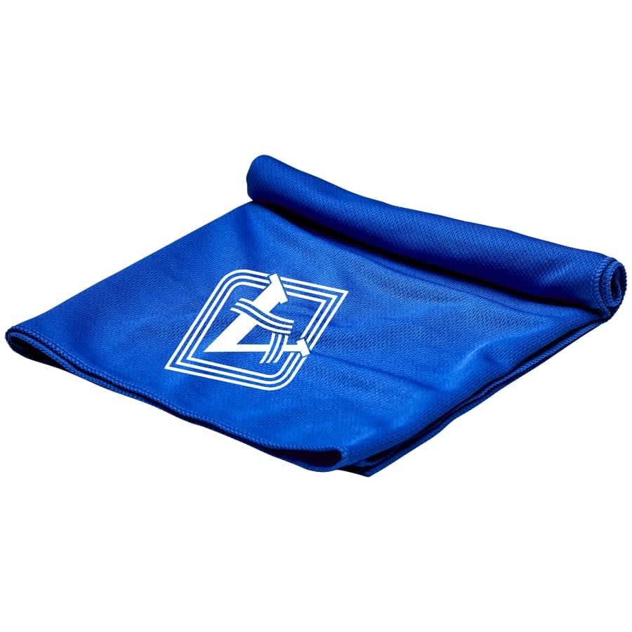 Cooling Towel - H710 Image 