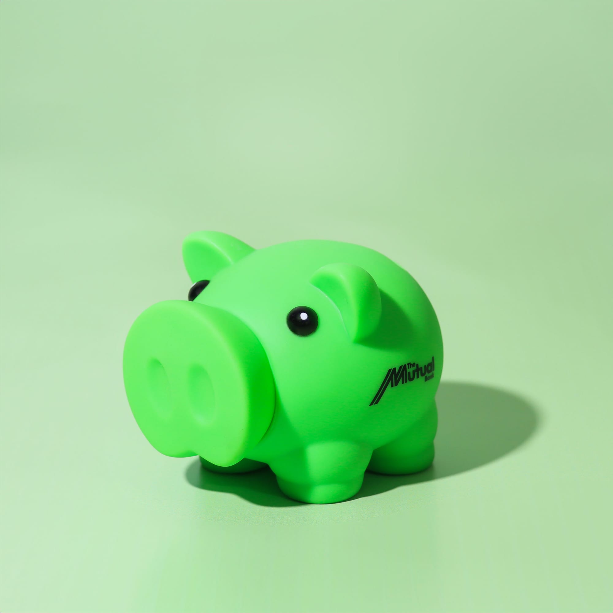 Alternative view of Penny Piglet
