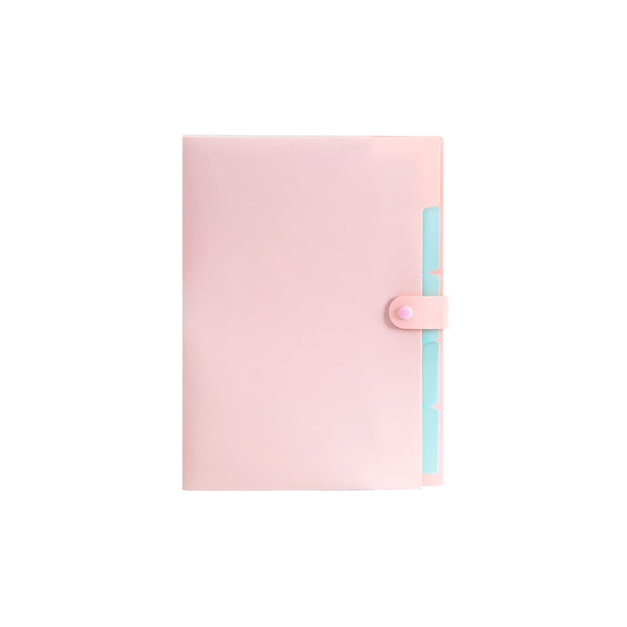 Alternative view of A4 Expandable File Folder
