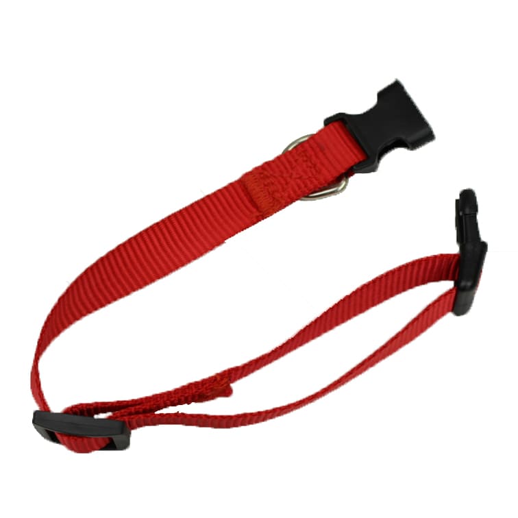 A red dog collar featuring a buckle and a metal D-ring for attaching a leash.