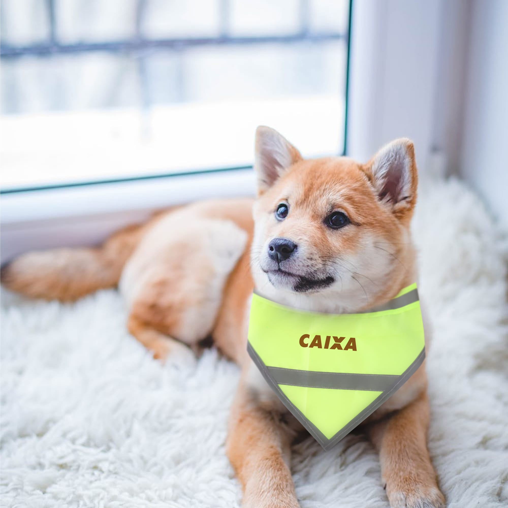 Reflective Dog Bandana - PCH342 Image 
