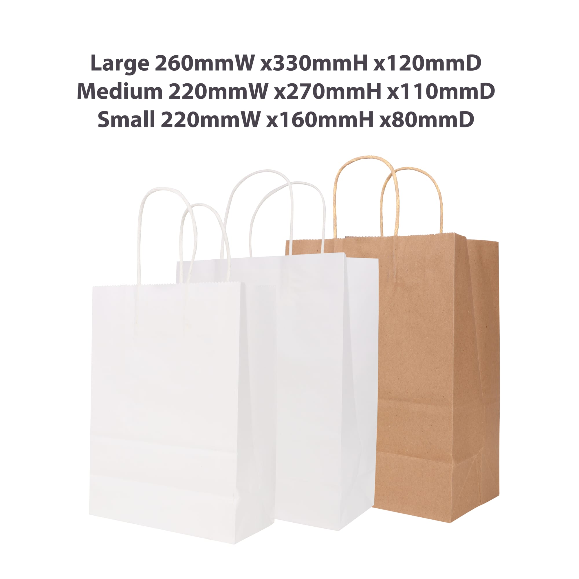 Twisted Handle Kraft Paper Bag (220x160x80mm) - PCPB010 Image 