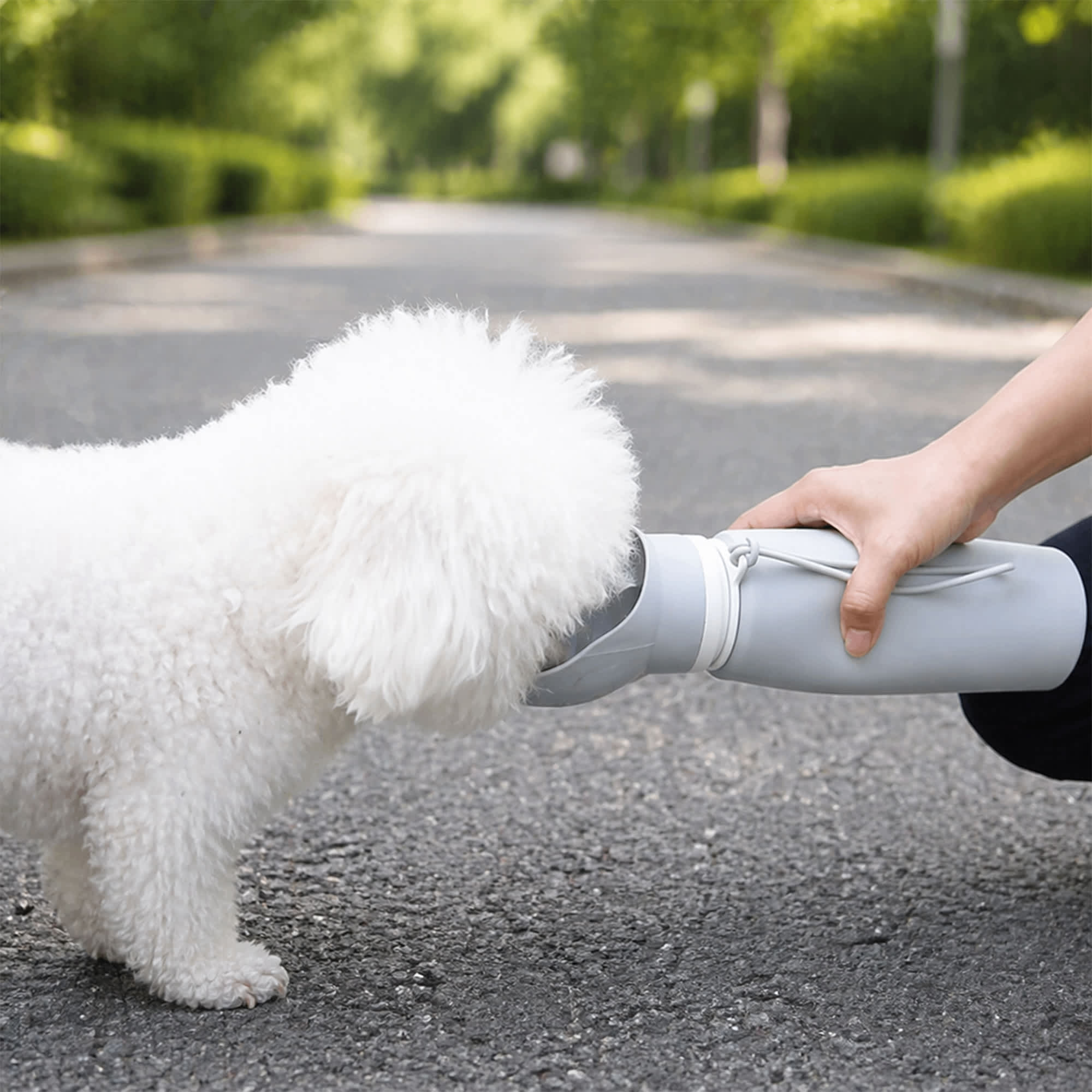 A drink bottle that holds 550ml, grey in colour, with a collapsible bowl for pets, featuring a logo.