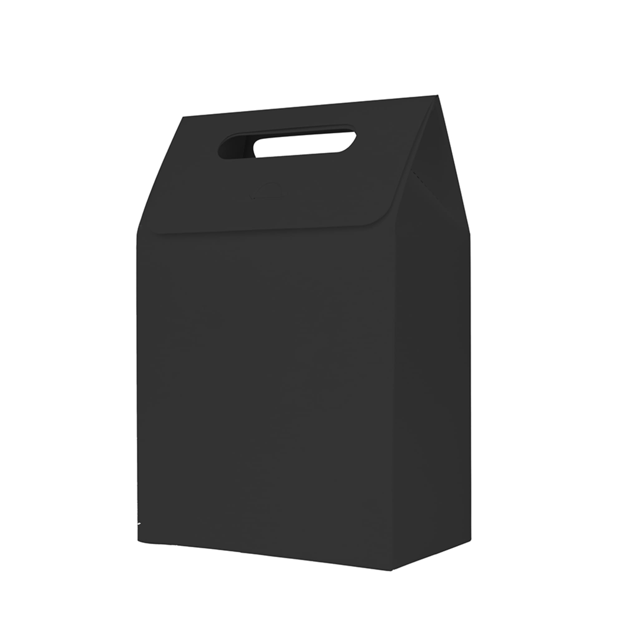 A black die cut handle bag with a top flap and a cut-out handle. The dimensions are 100x160x60mm.