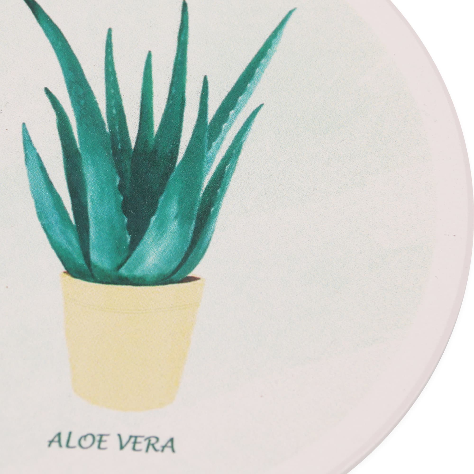 Water Absorbant Coasters - PCH610 Image 