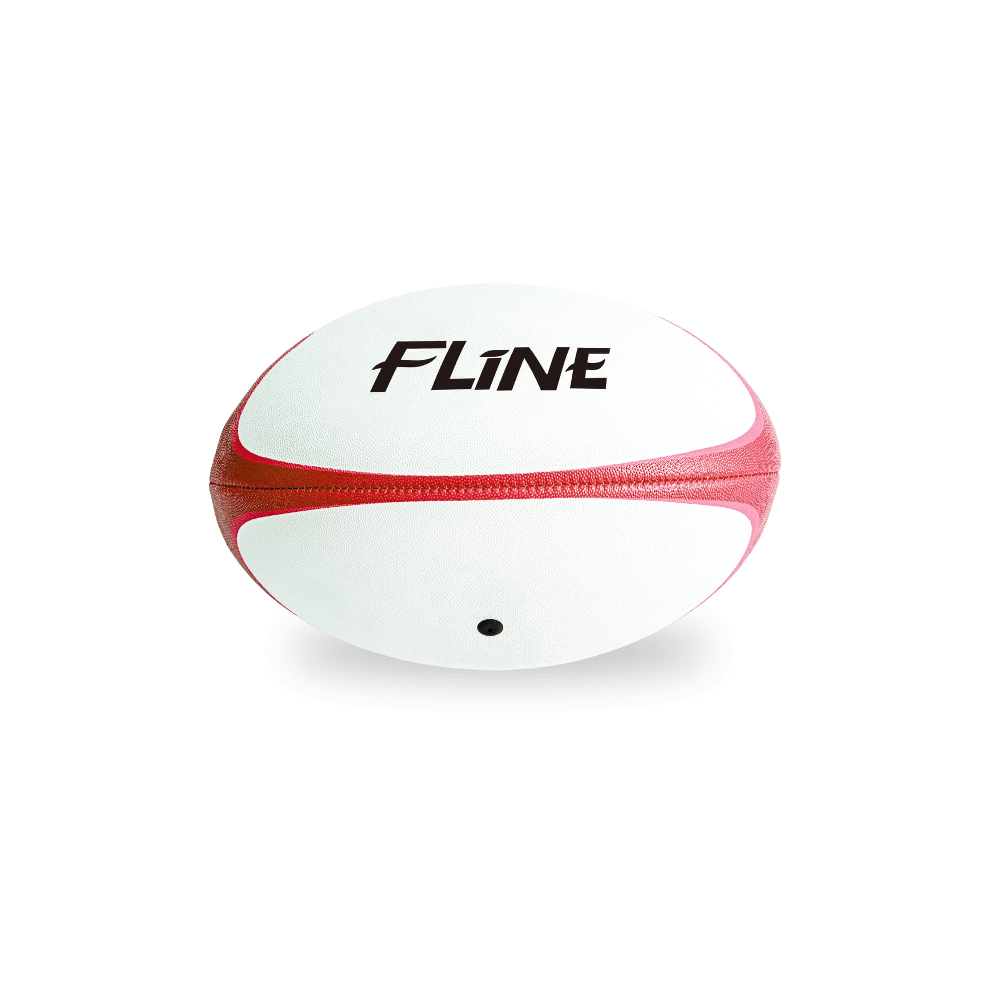 Alternative view of Training Rugby Ball