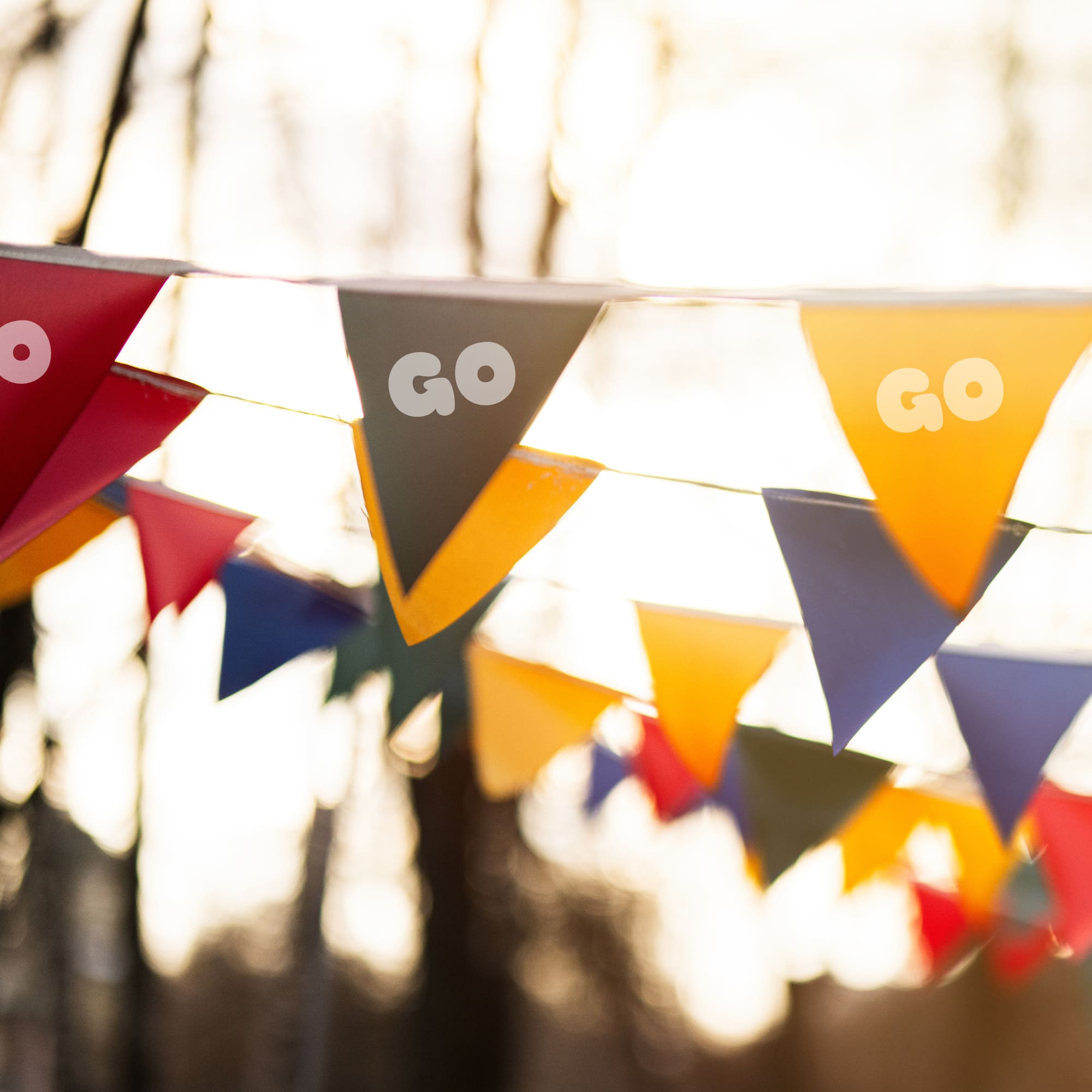 Custom Paper Pennant String Flags - POS151 Image