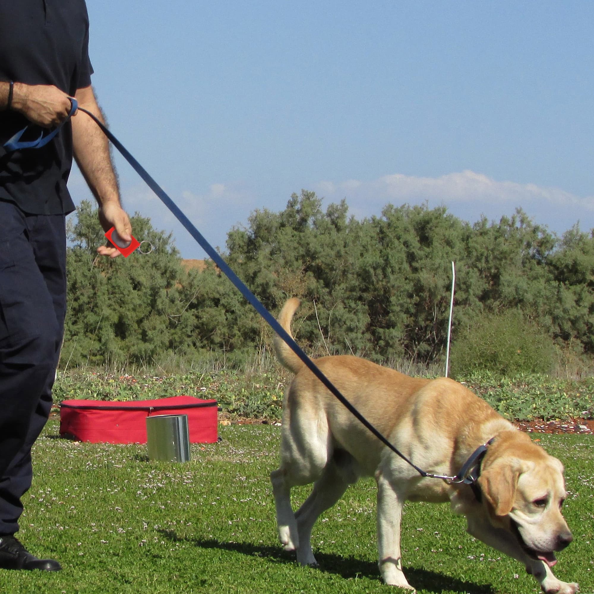 Pet Training Clicker - PCH283 Image 