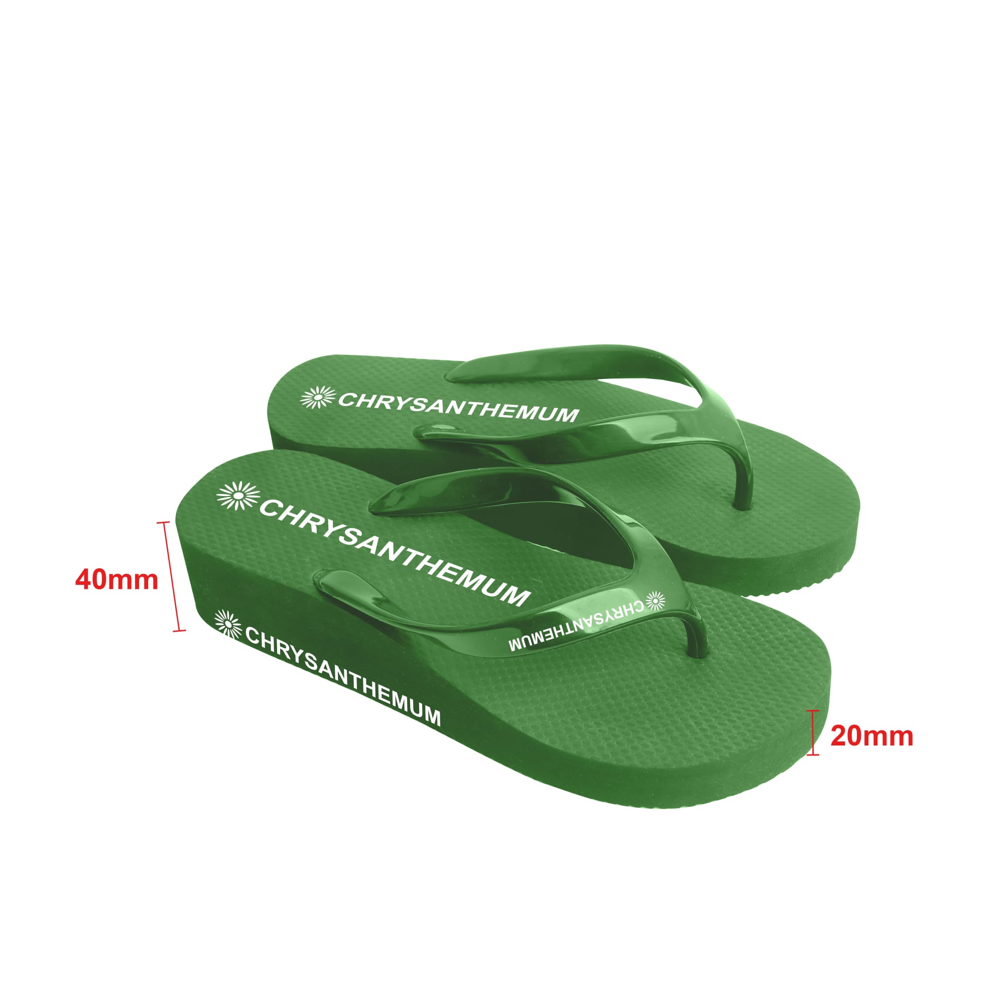 Rubber Platform Classic Thongs - PCH198 Image 