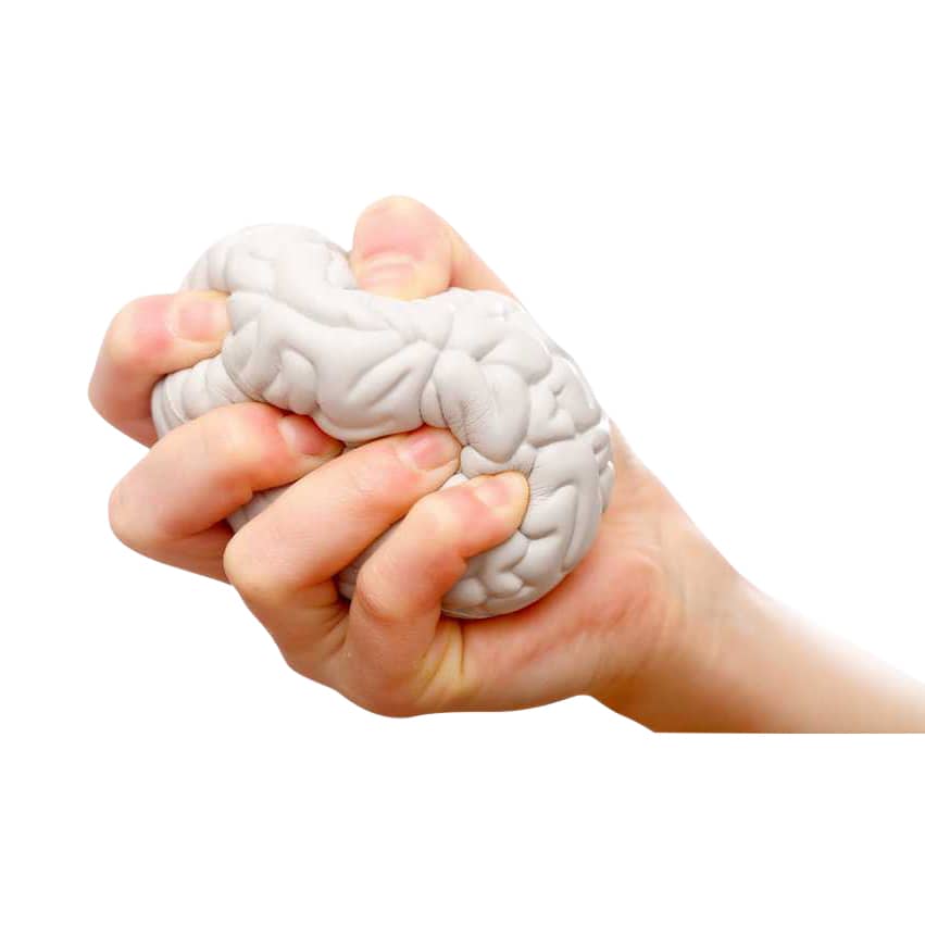 A white brain-shaped stress reliever held firmly in a hand, showcasing its unique design and texture.
