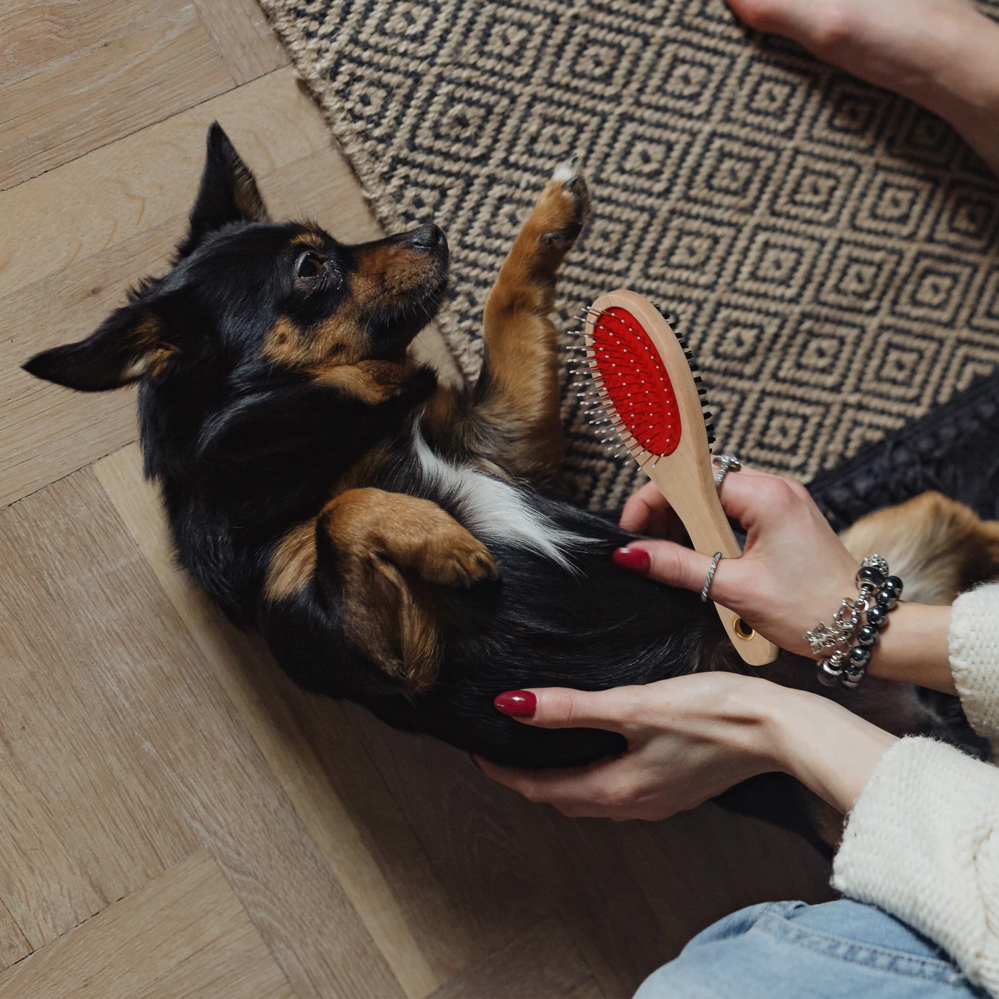 Pin and Bristle Pet Brush - PCH340 Image 