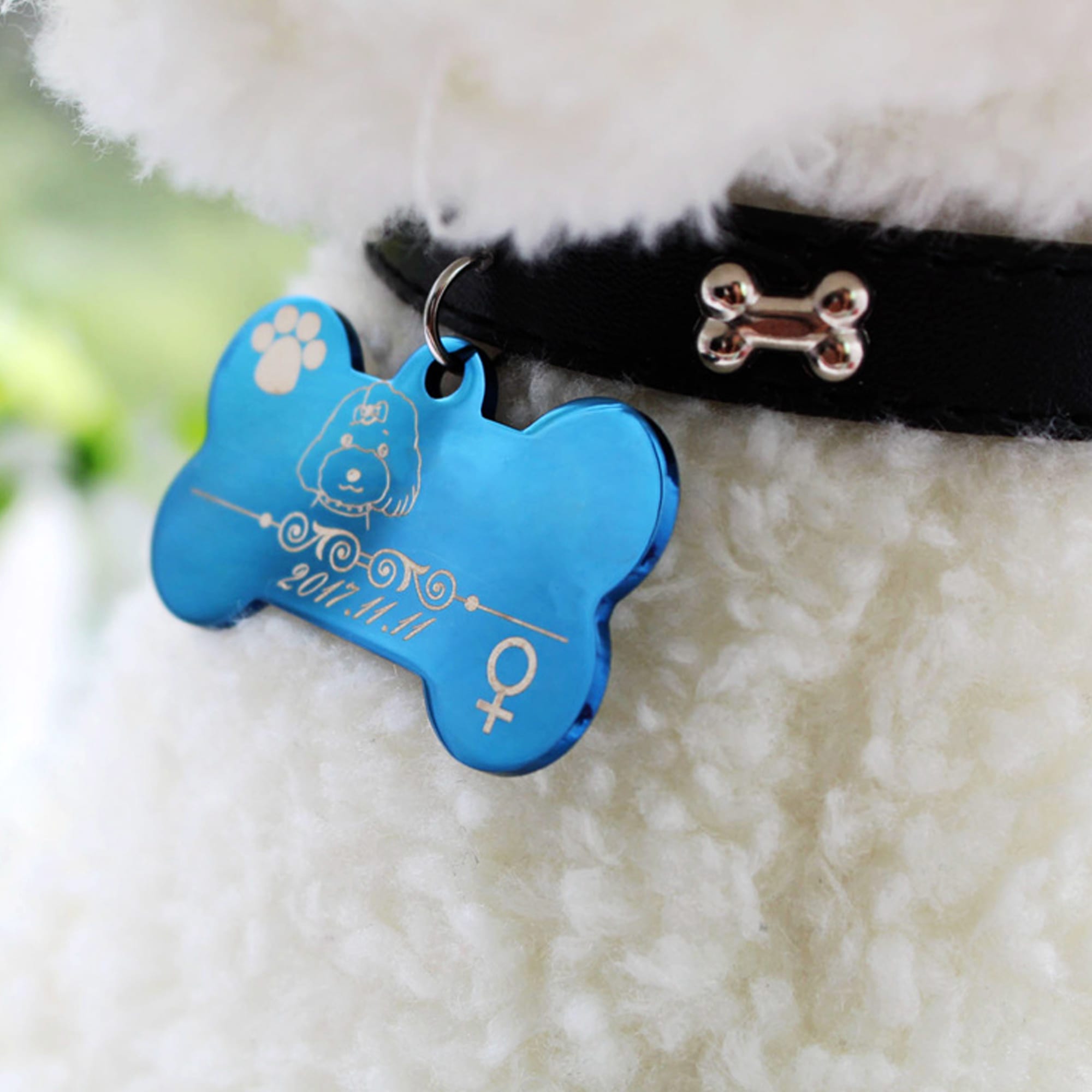 Pet ID Tag - PCH277 Image 