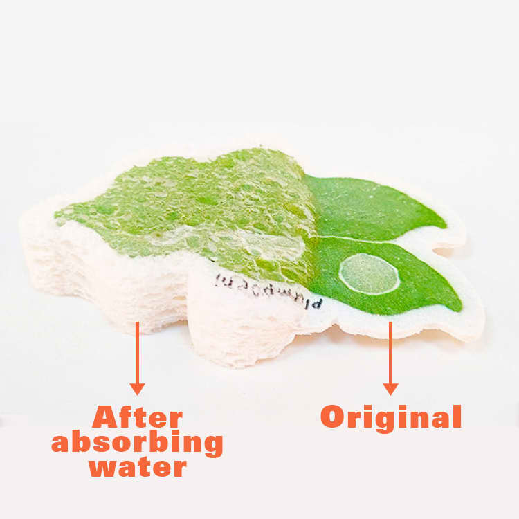 Expandable Dishwashing Sponge - PCH535 Image 