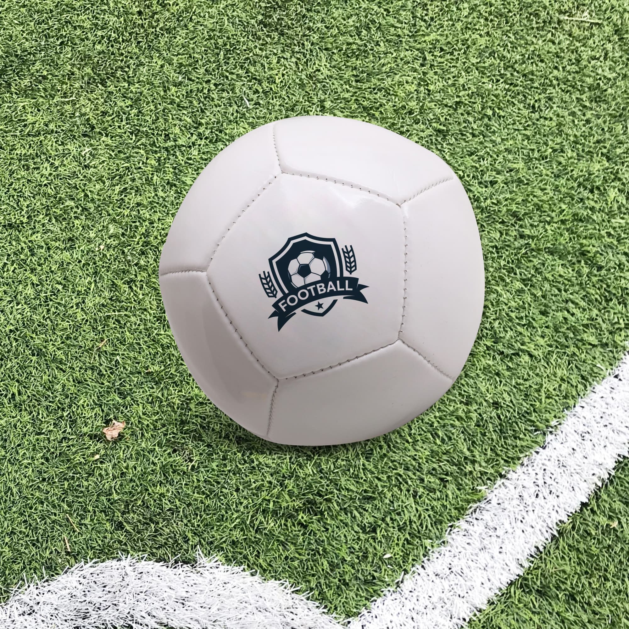 Mini Soccer Ball - PCH304 Image
