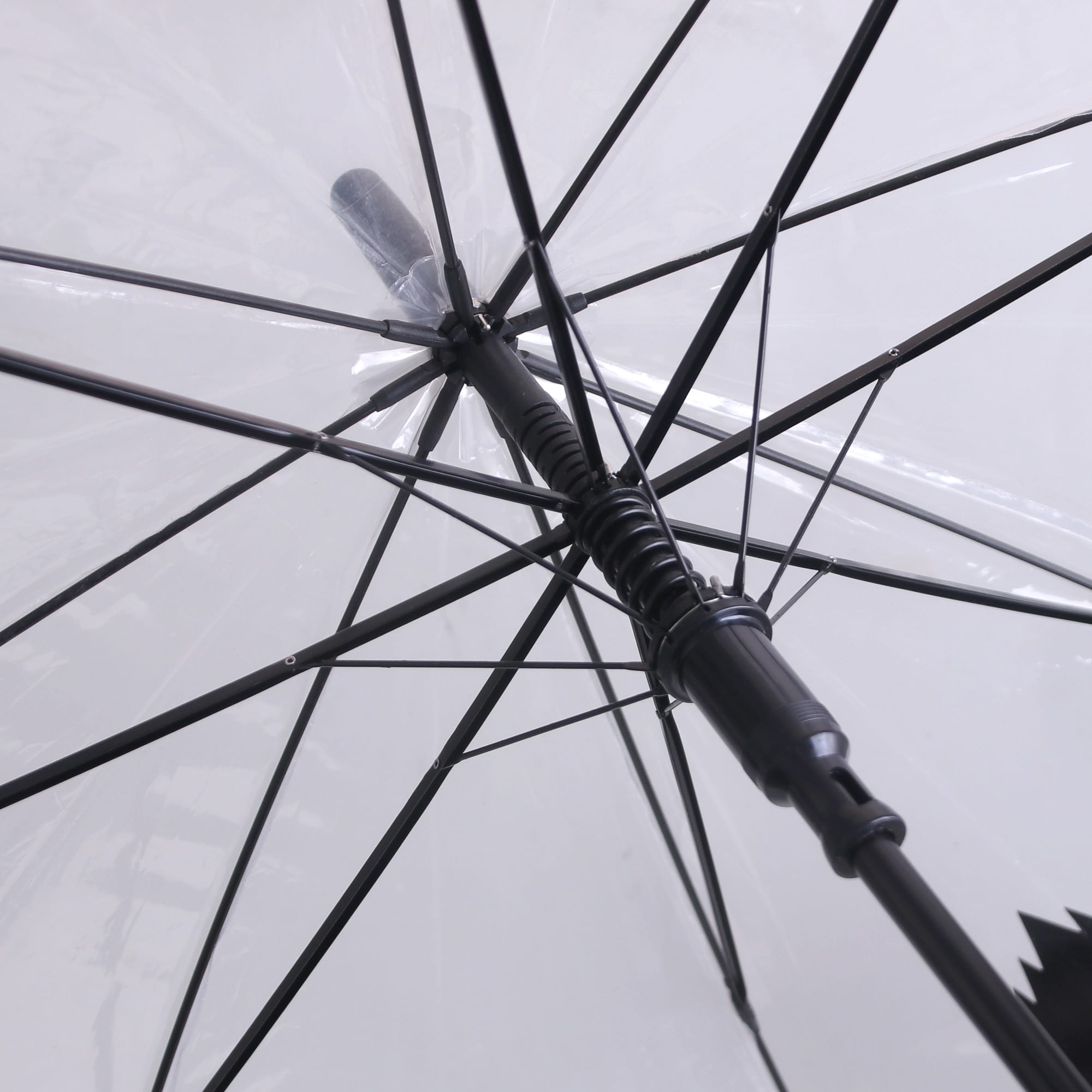 Transparent Eight-Panel Umbrella - PCH800 Image 