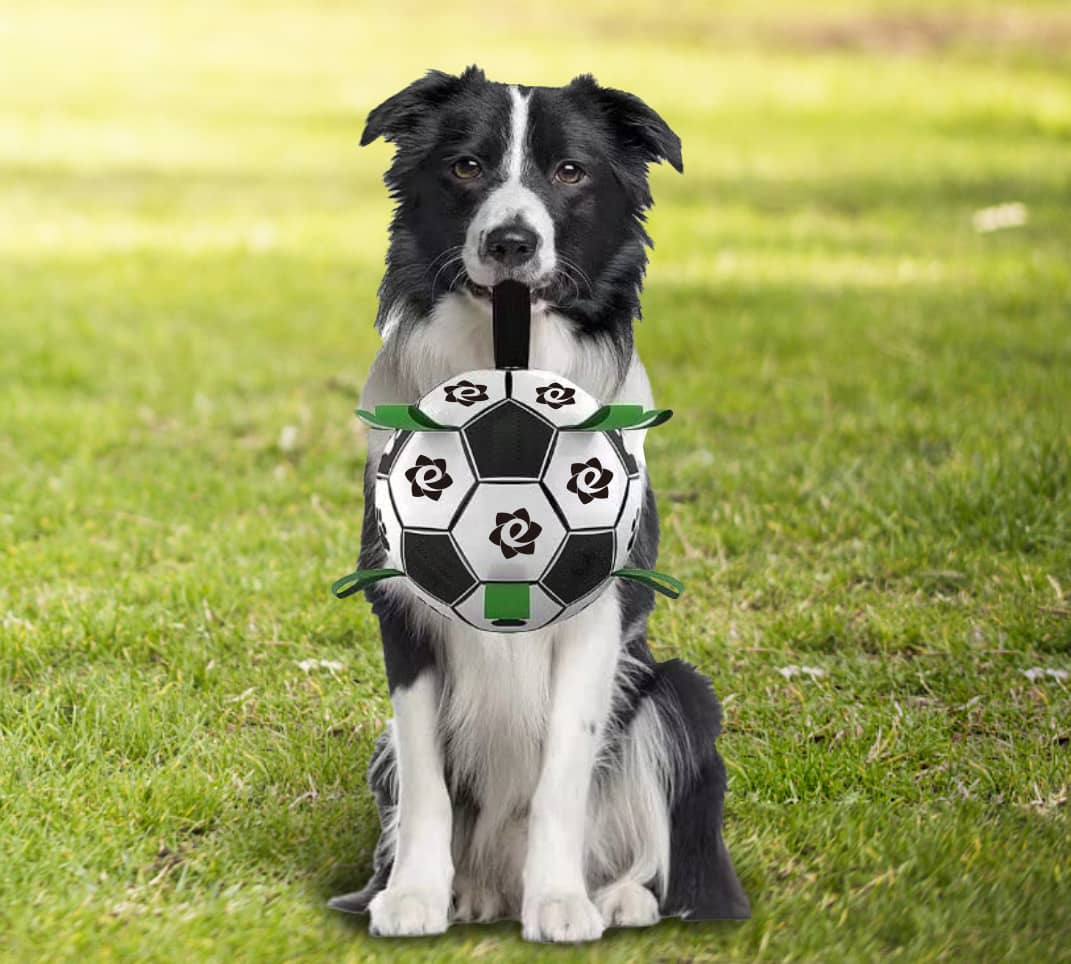 Dog Soccer Ball With Grab Tabs - PCH279 Image 