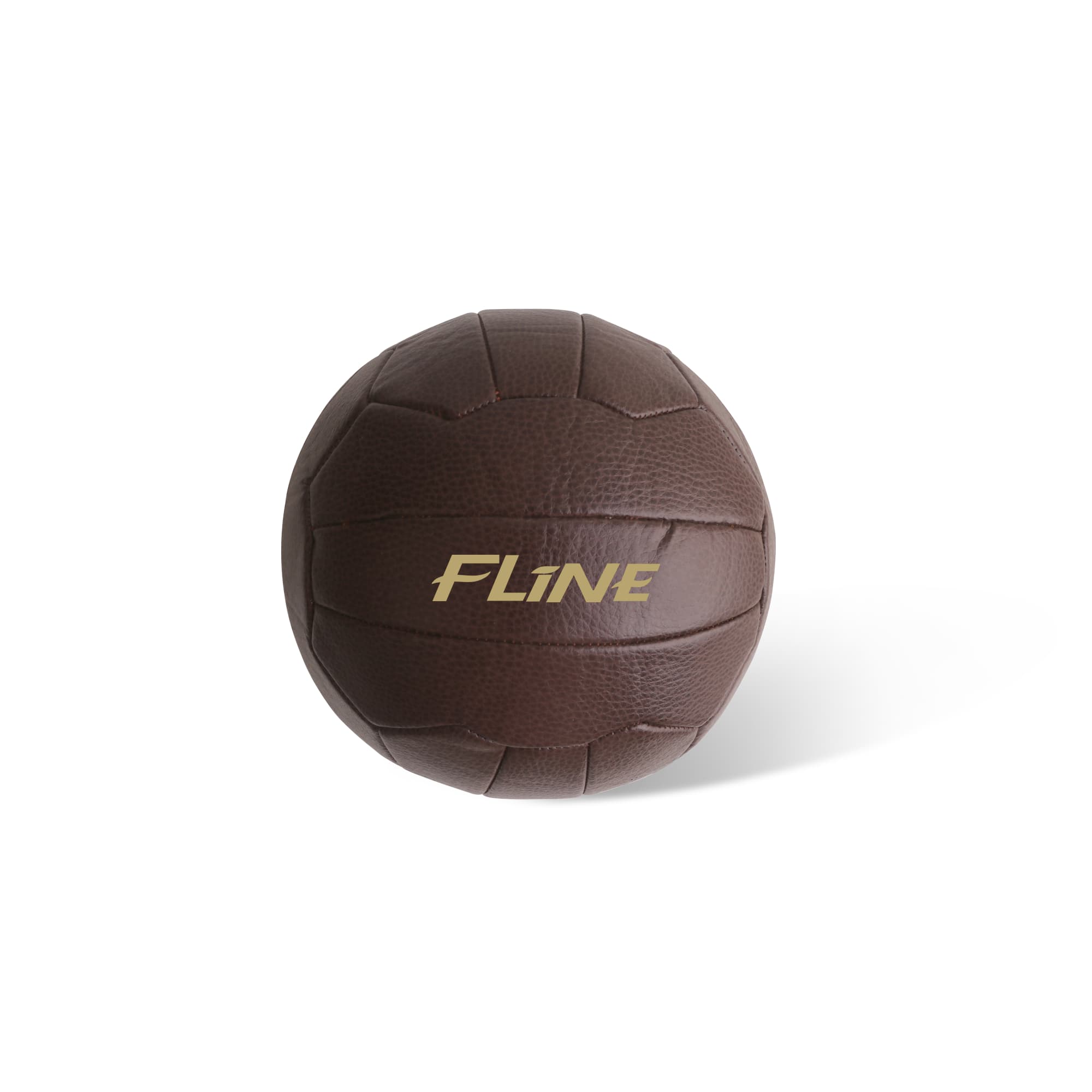 Alternative view of Vintage Soccer Ball