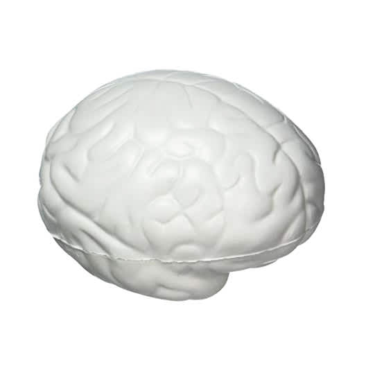 A white brain-shaped stress reliever featuring realistic texture and shape. It includes a logo.