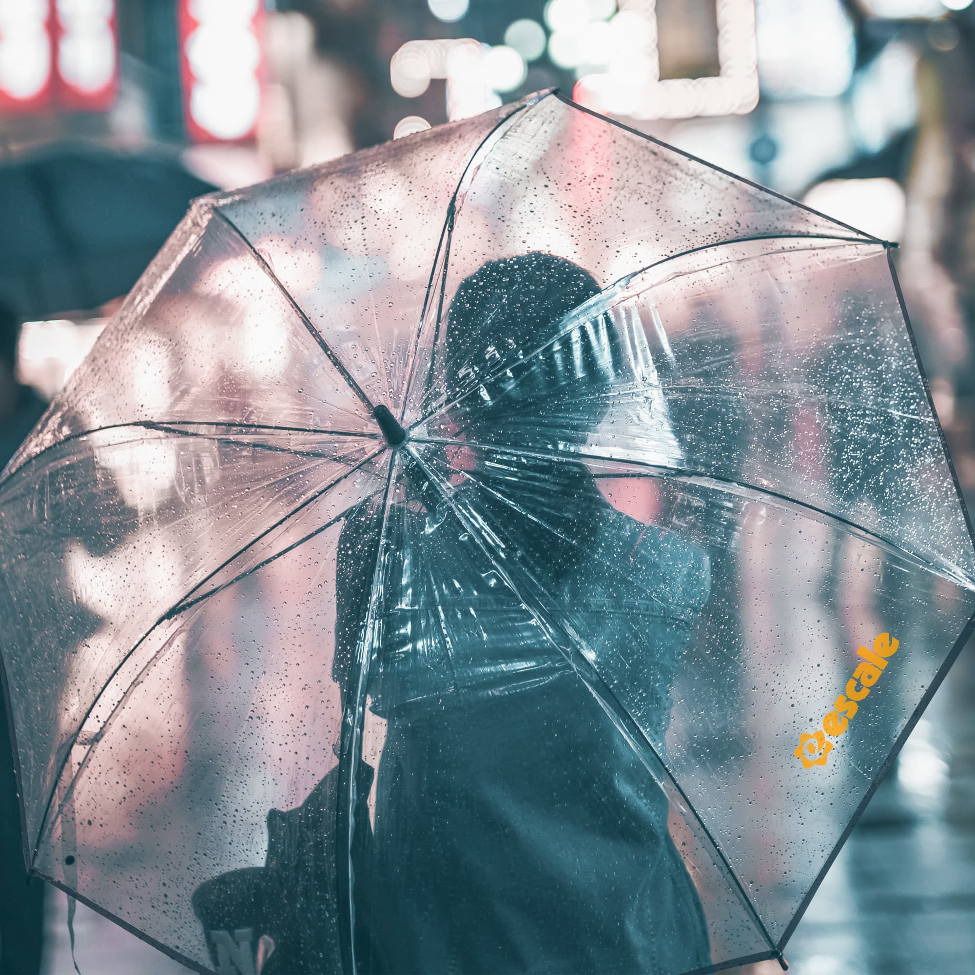 Transparent Eight-Panel Umbrella - PCH800 Image 