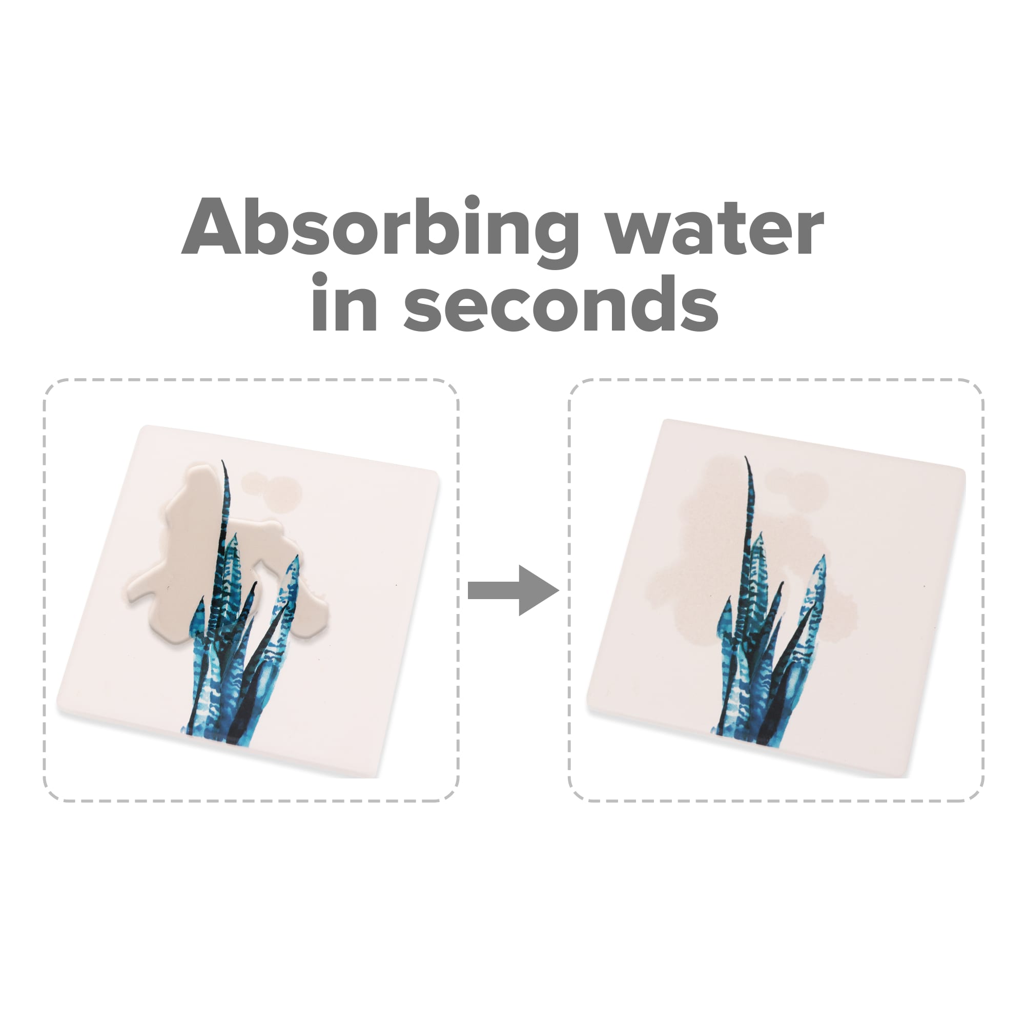 Water Absorbant Coasters - PCH610 Image 