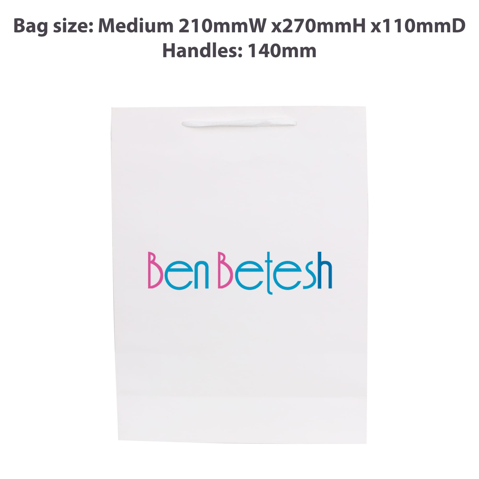 Medium Vertical Paper Bag with Fabric Flat Handle(210 x 270 x 110mm) - PCPB171 Image