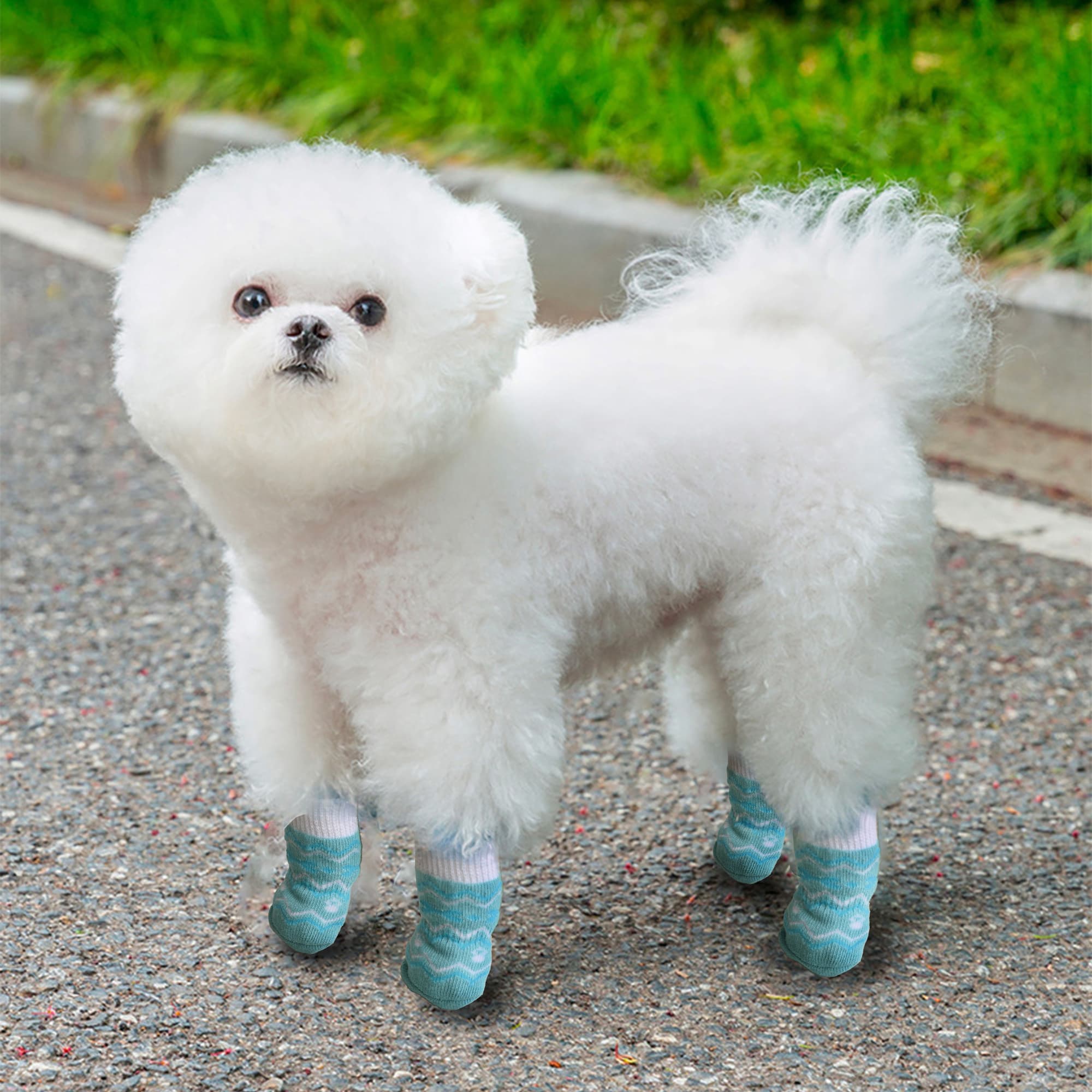 Pet Socks