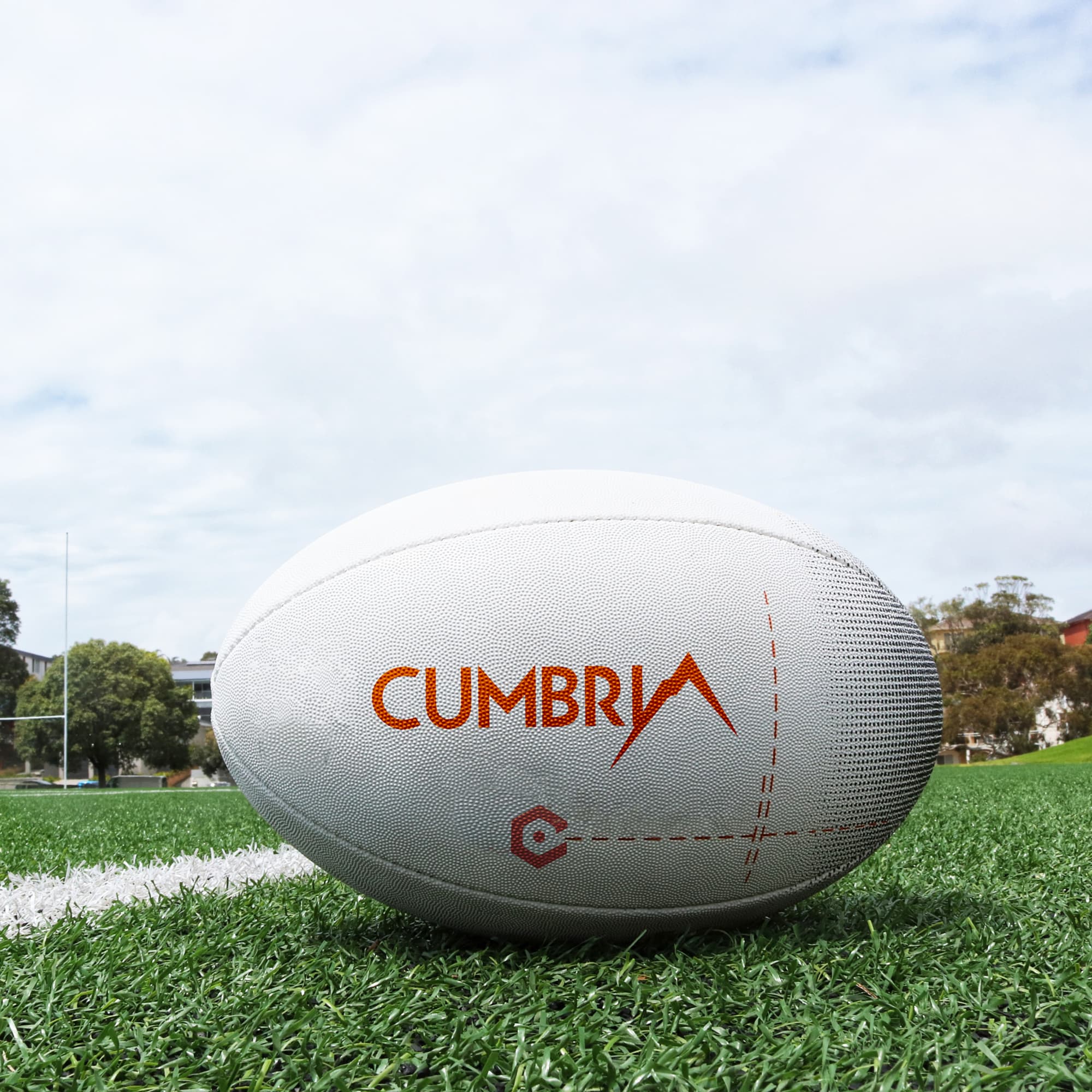 Training Rugby Ball - PCH308 Image 