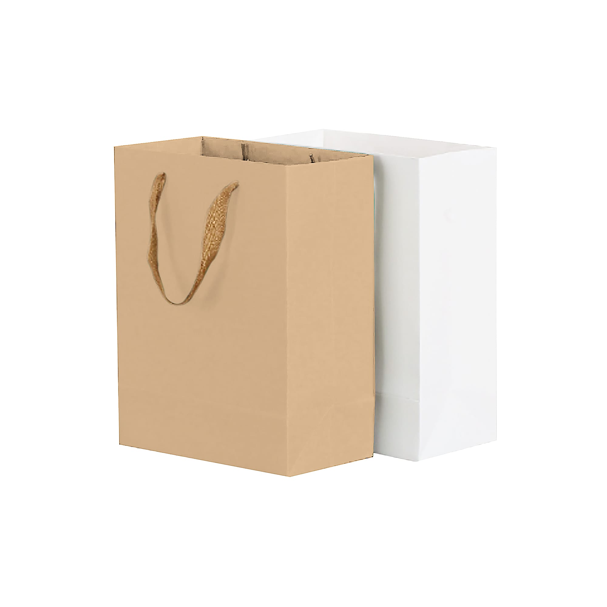 Medium Vertical Paper Bag with Fabric Flat Handle(210 x 270 x 110mm)