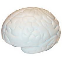 A large, white brain-shaped stress reliever, featuring detailed textures resembling a human brain.