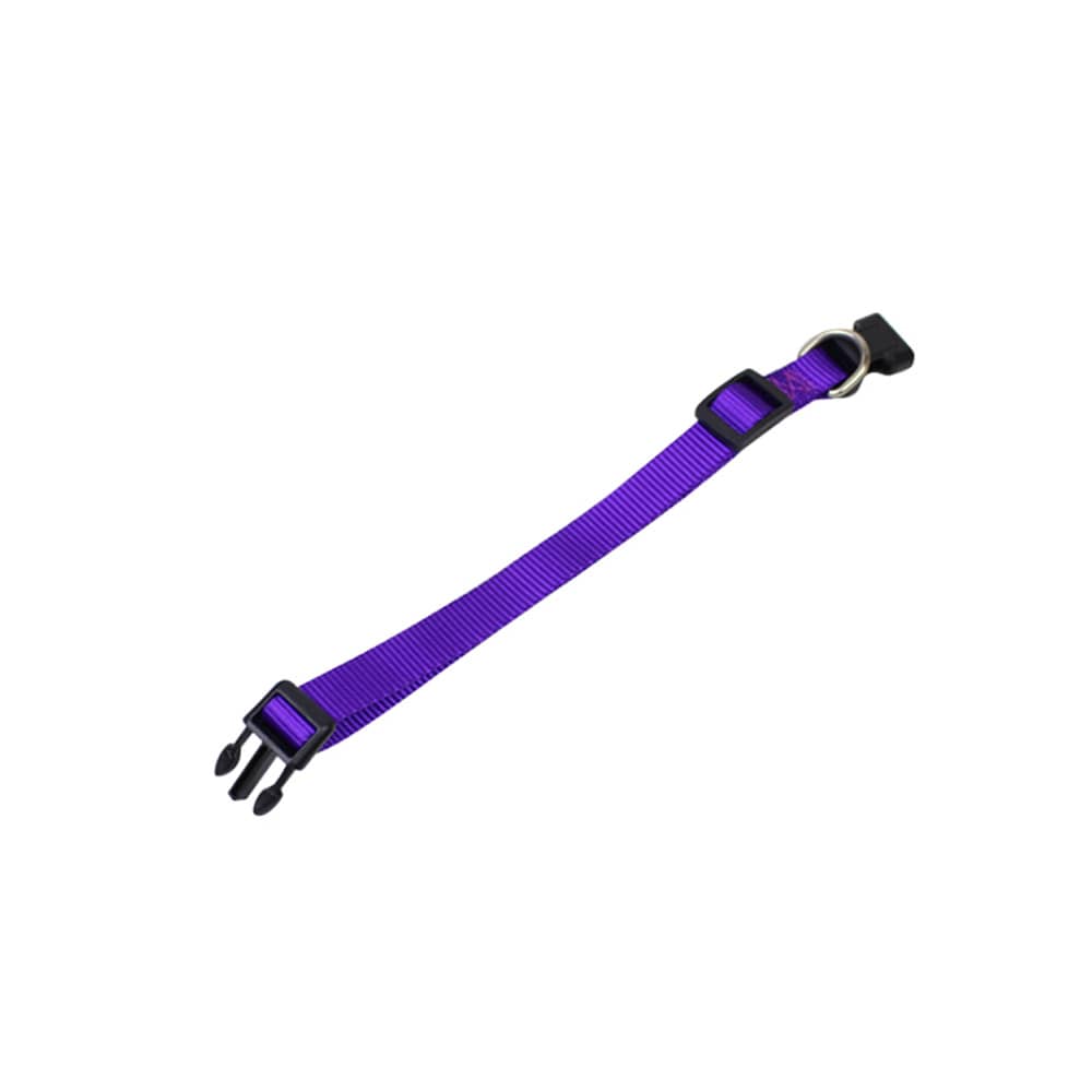 A purple dog collar with a plastic buckle and metal attachment ring. It features durable nylon material.