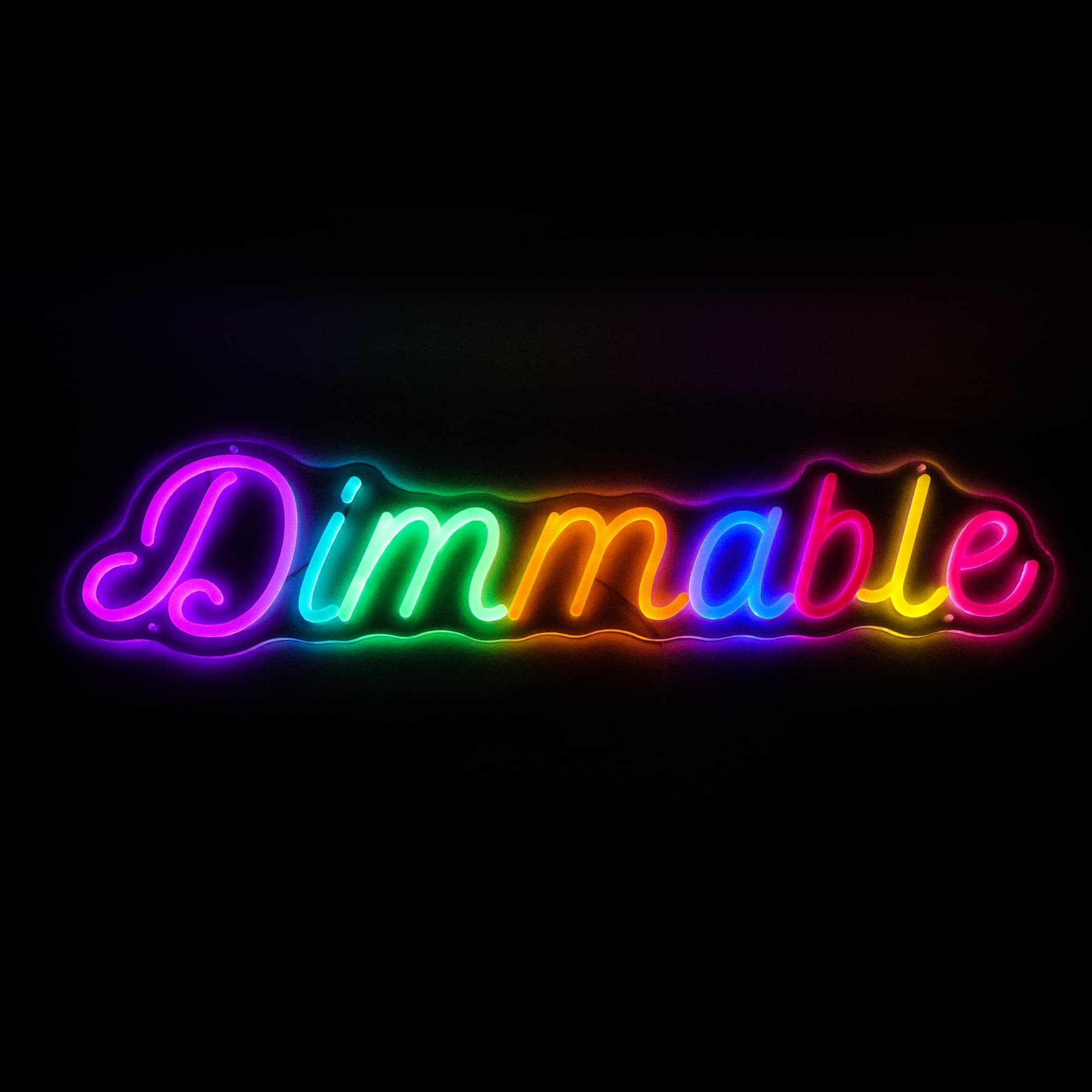 Dimmable Neon LED Sign