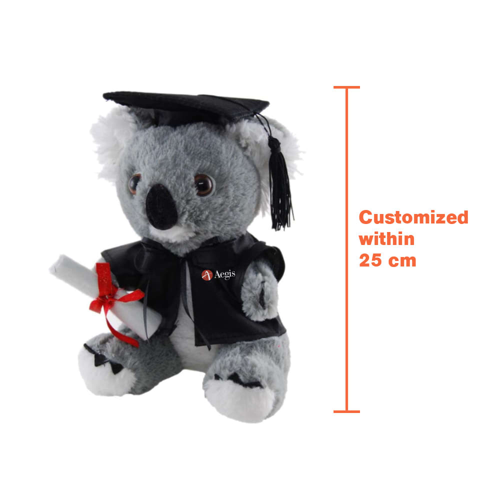 Custom Graduation Plush Toy - PCPT164 Image