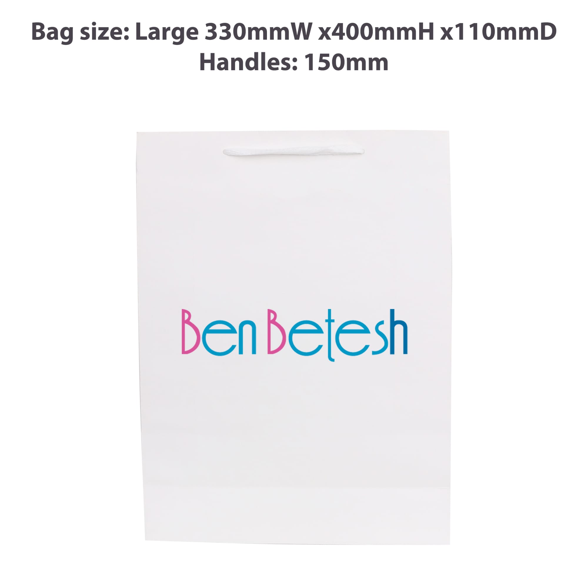 Large Vertical Paper Bag with Fabric Flat Handle(300 x 400 x 110mm) - PCPB172 Image