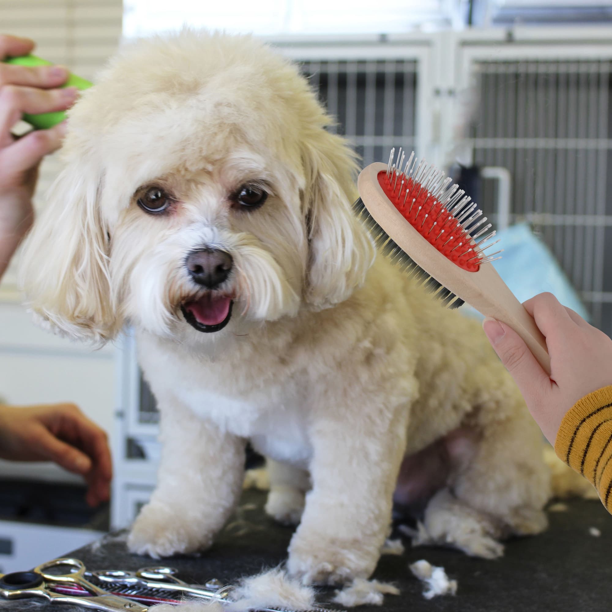 Pin and Bristle Pet Brush - PCH340 Image 