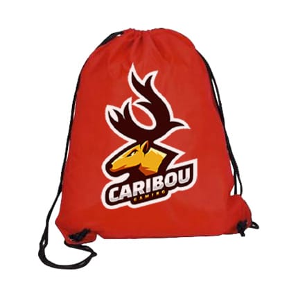 Normal Polyester Drawstring Bag - PCBC605 Image