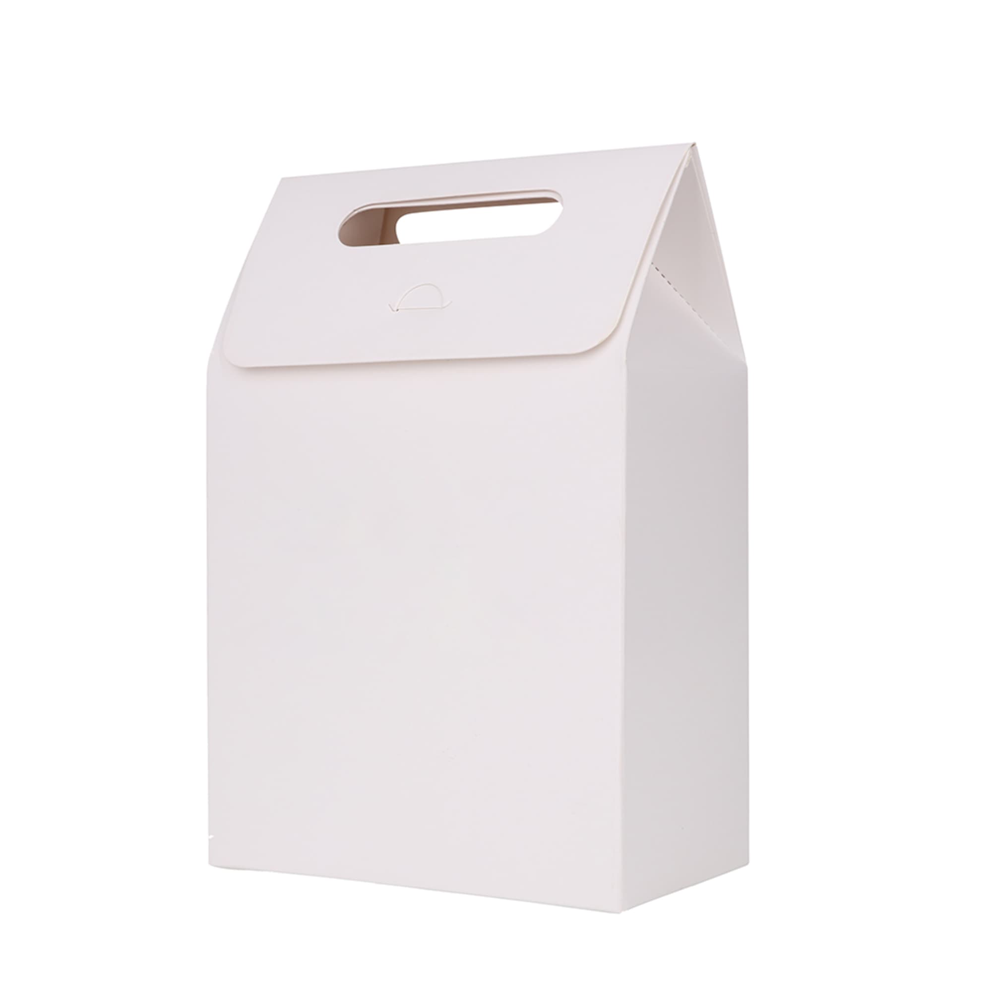 A white die cut handle bag with a top flap and cut-out handle, dimensions 100x160x60mm, featuring a simple design.