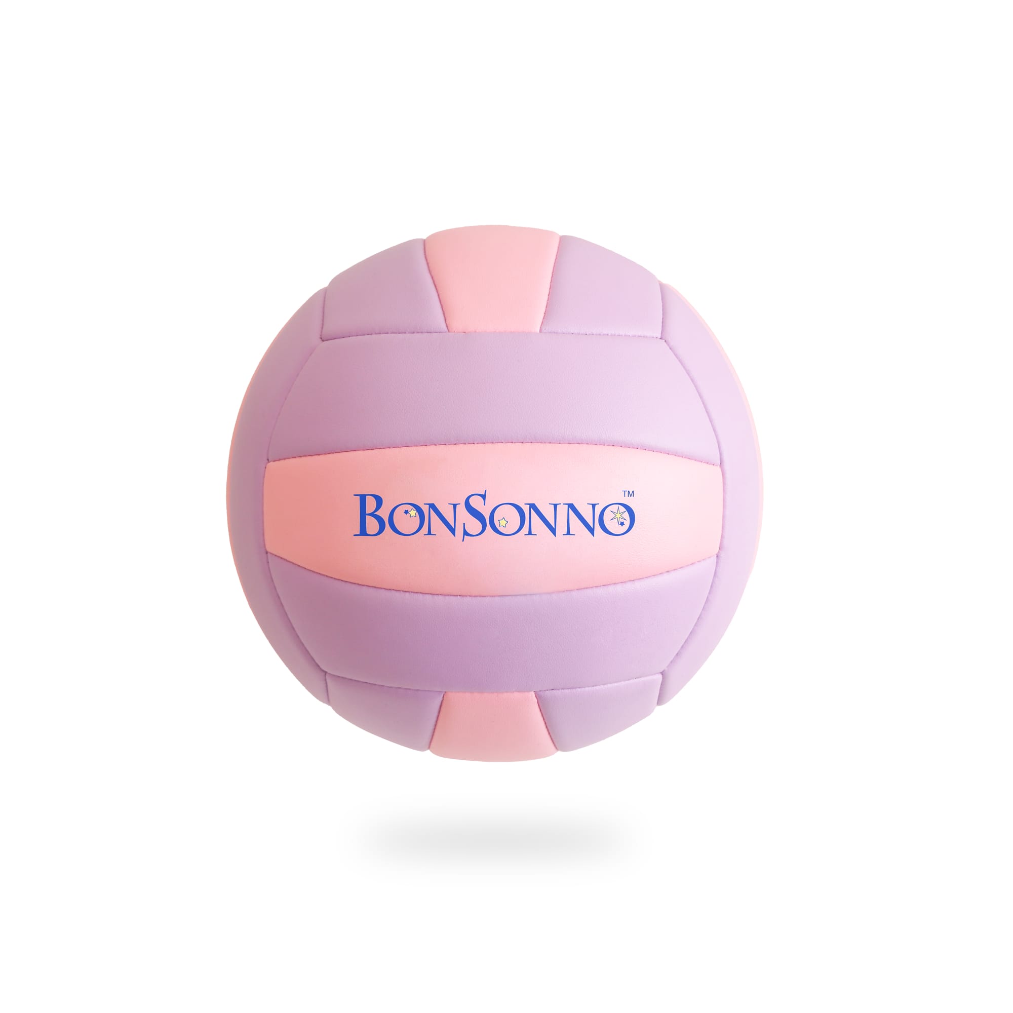 Alternative view of Volleyball