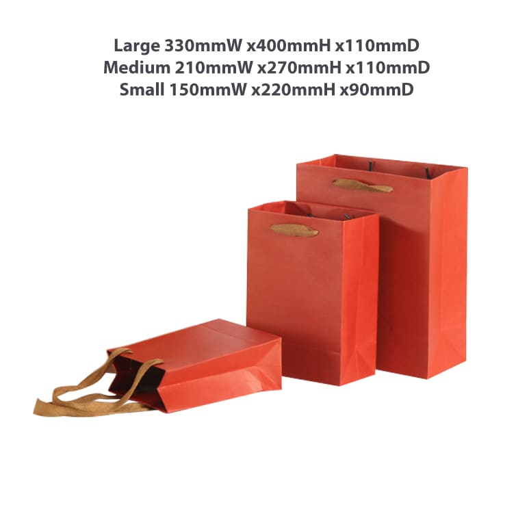 Medium Vertical Paper Bag with Fabric Flat Handle(210 x 270 x 110mm) - PCPB171 Image