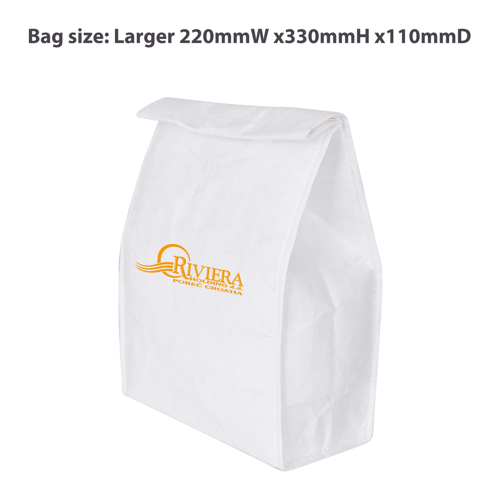 Larger Tyvek Cooler Lunch Bag(220x330x110mm) - PCPB181 Image 