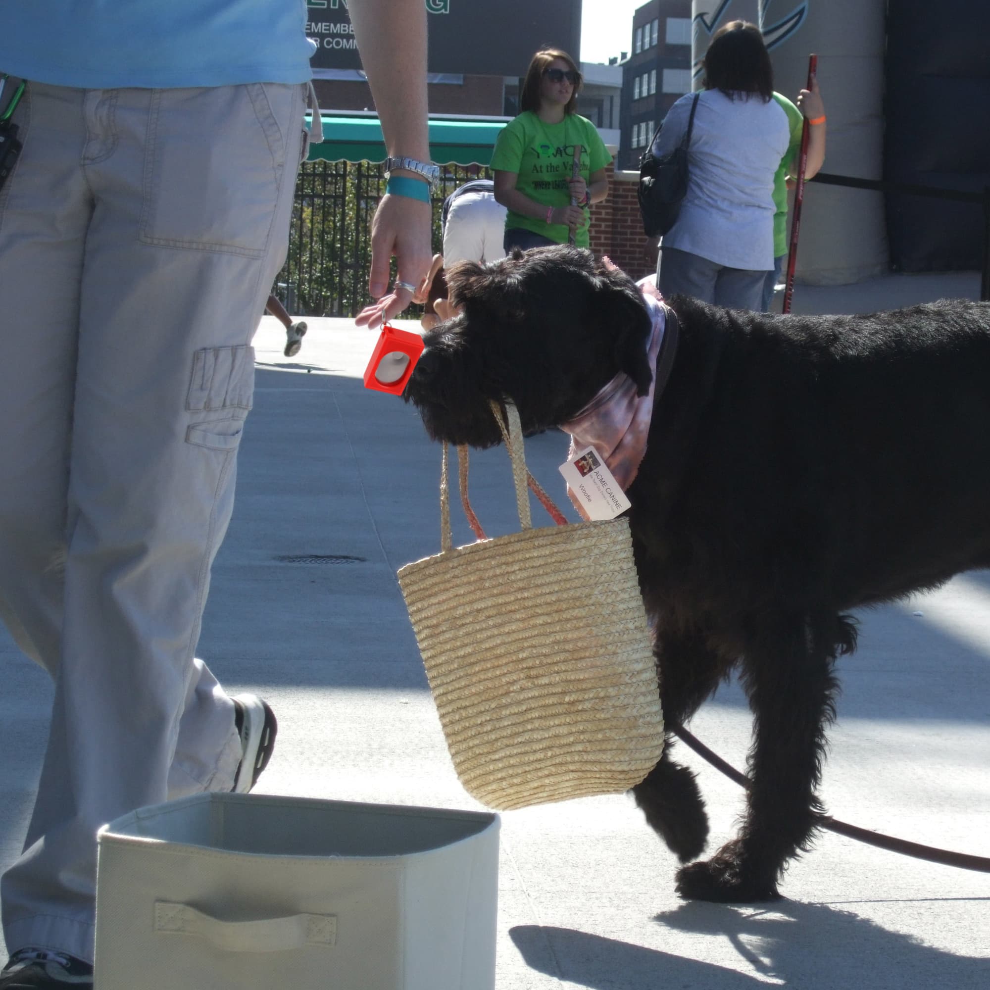 Pet Training Clicker - PCH283 Image 