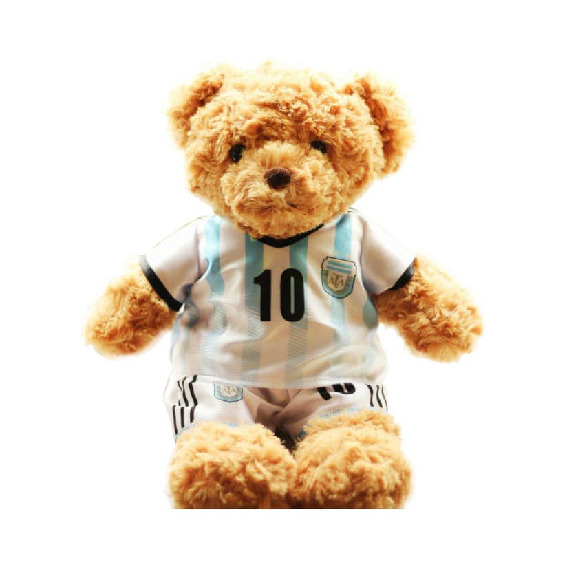 Cloth Changing Plush Toy - Teddy Bear