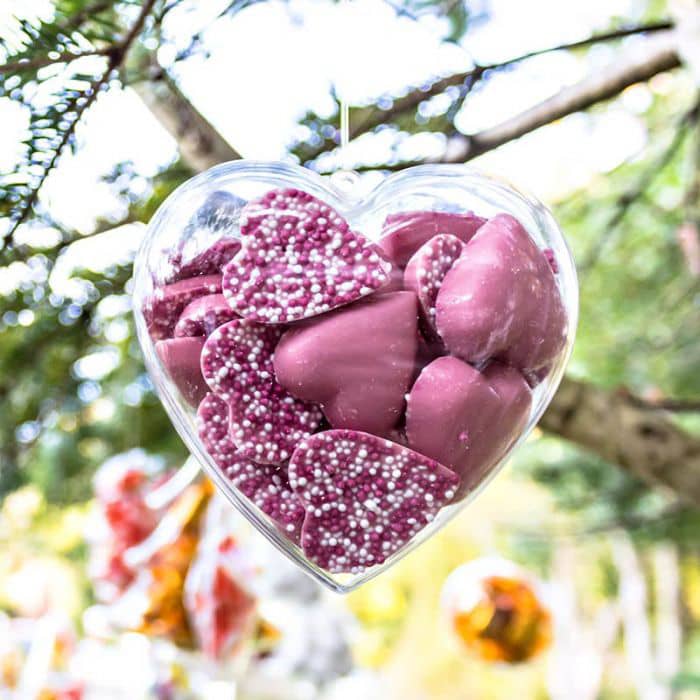 Heart Shaped Clear Plastic Ornament - PCTC24 Image