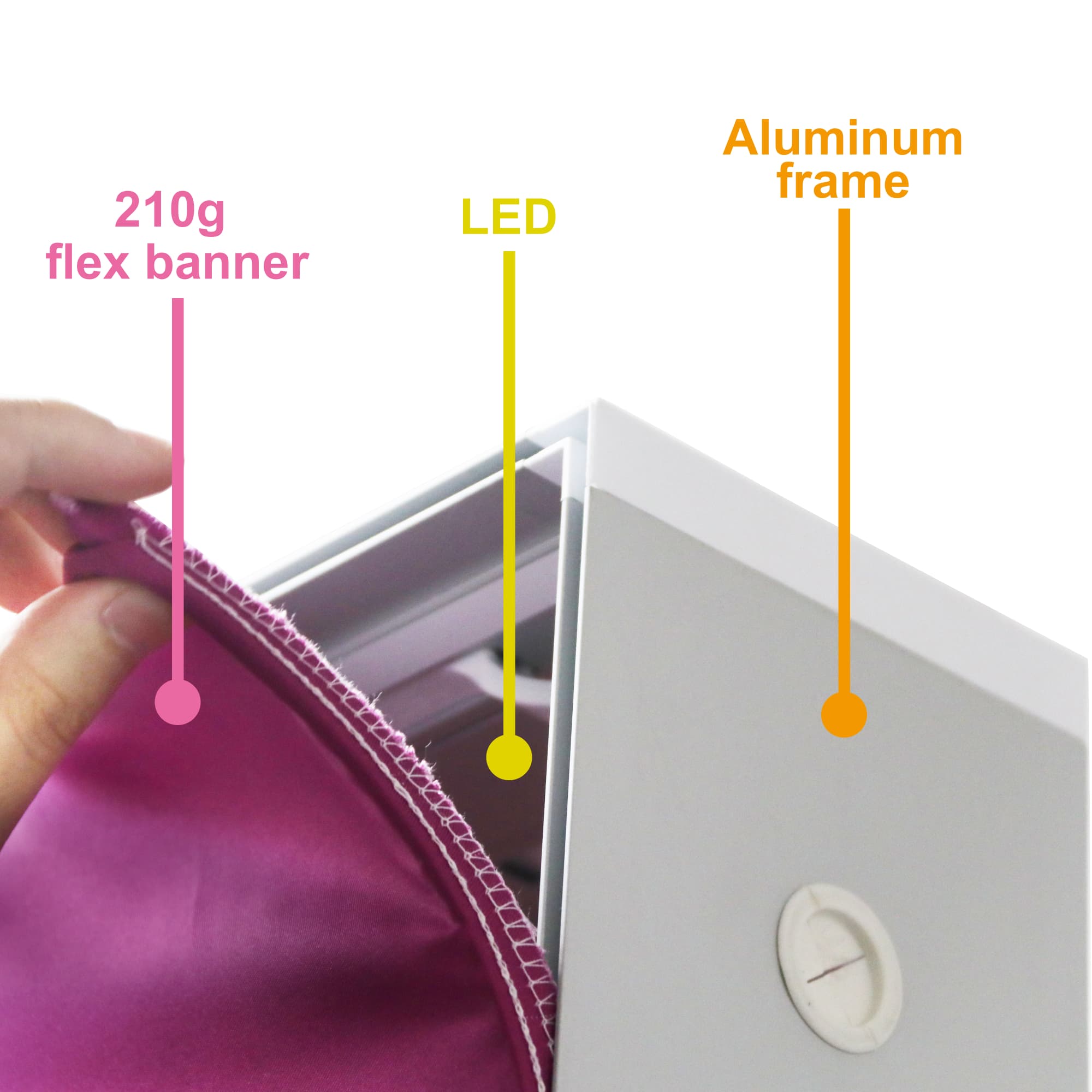 SEG Backlit LED Light box Display (100 x 200cm) - POS58 Image 